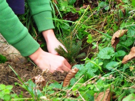 544c0bb66e952_DSCF0382_1024x768