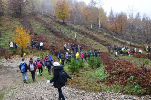 581078a44c3c2_DSC_0501_1579x1050