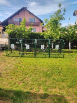 184558990_1941276552697906_3320688632865138288_n