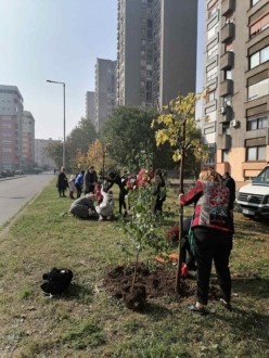 viber_image_2021-10-29_14-21-49-449